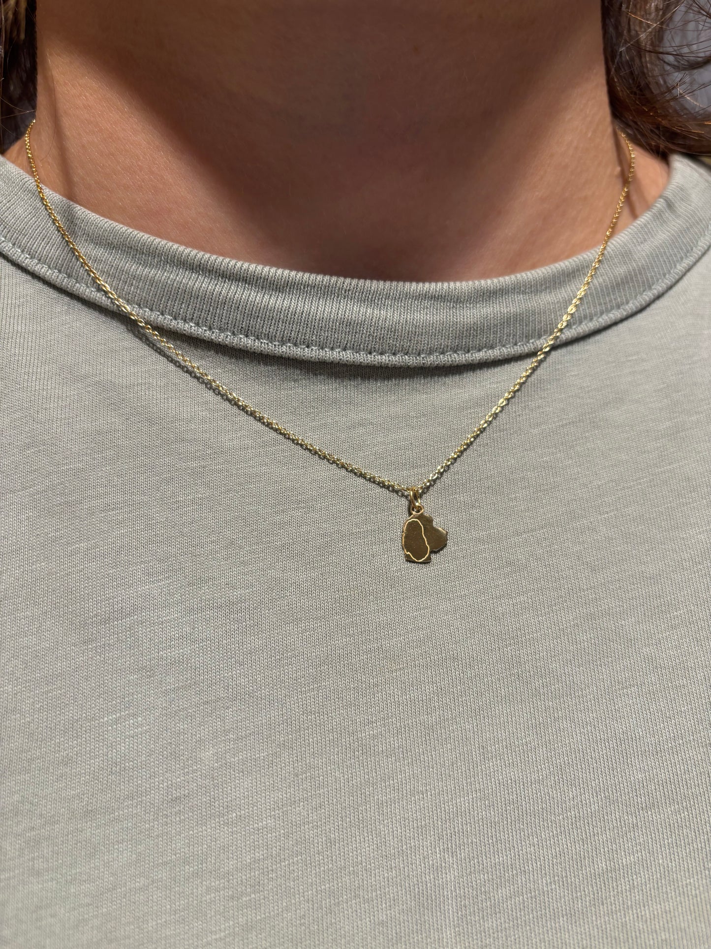 Hund oder Katze personalsierte Kette