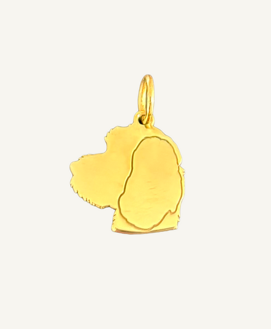 Anhänger large Hund oder Katze