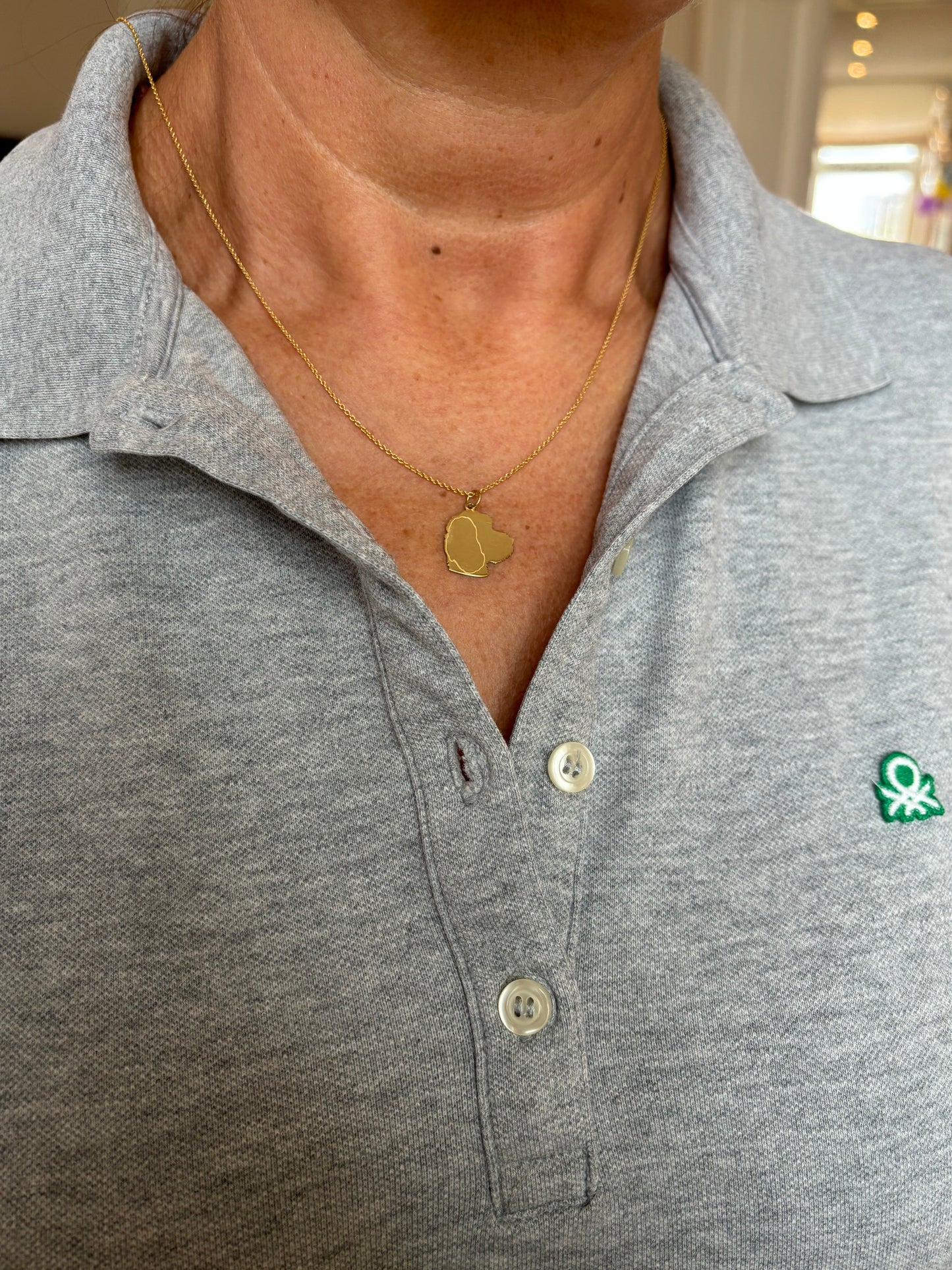 Hundeanhänger Kette - personalisierter Anhänger